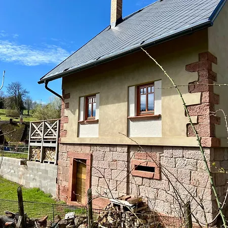 Little No.100 Дом отдыха Vidochov